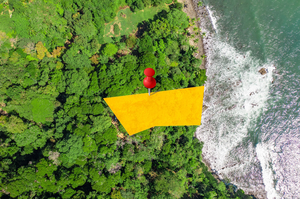 Top-down view — parcel polygon and coastal edge.